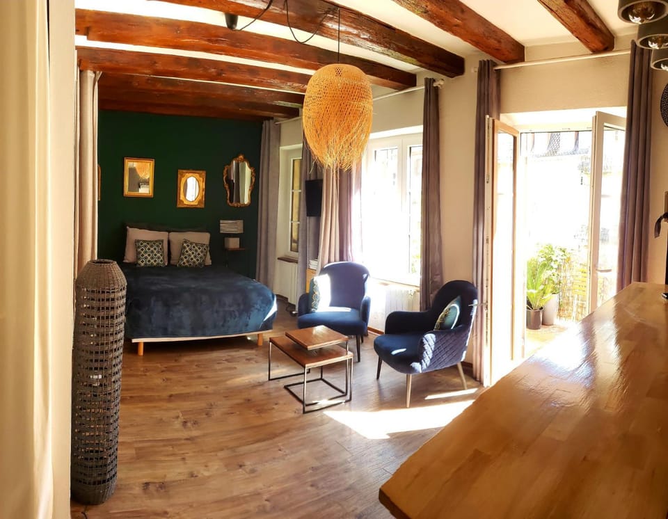 La Terrasse Desaix Apartment in Strasbourg