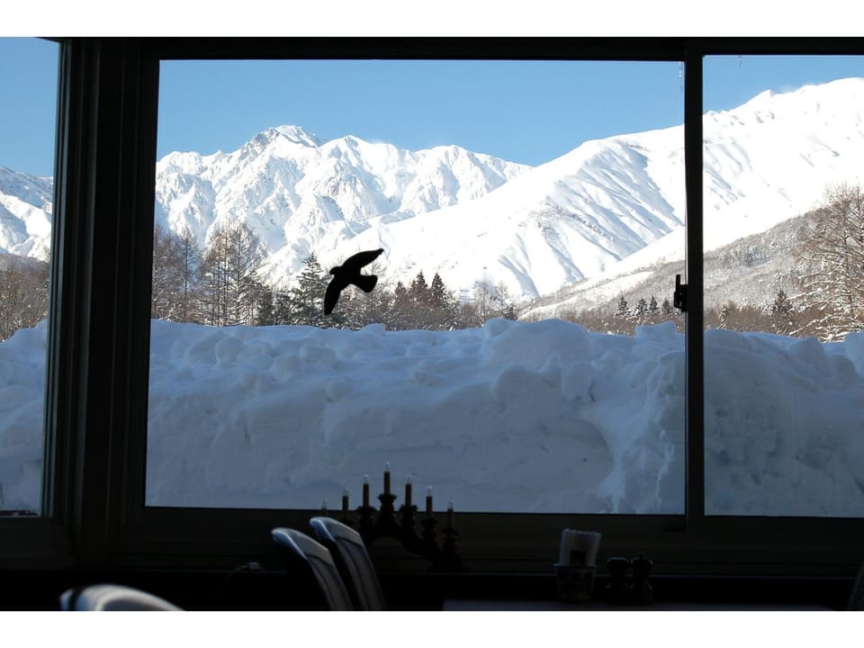 Winter, Mountain view