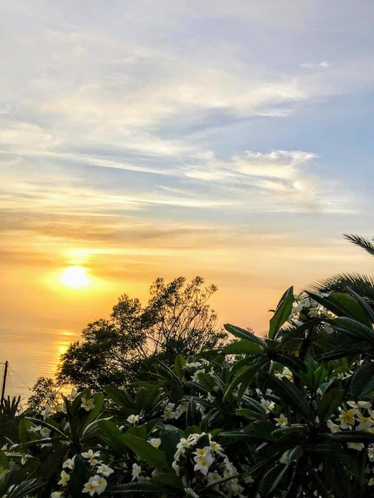 Natural landscape, Garden, Sea view, Sunset