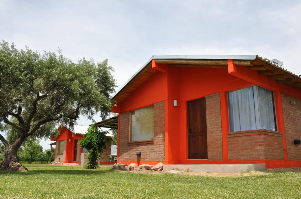 Cabañas Los Viñedos Nature lodge in Mendoza Province Province