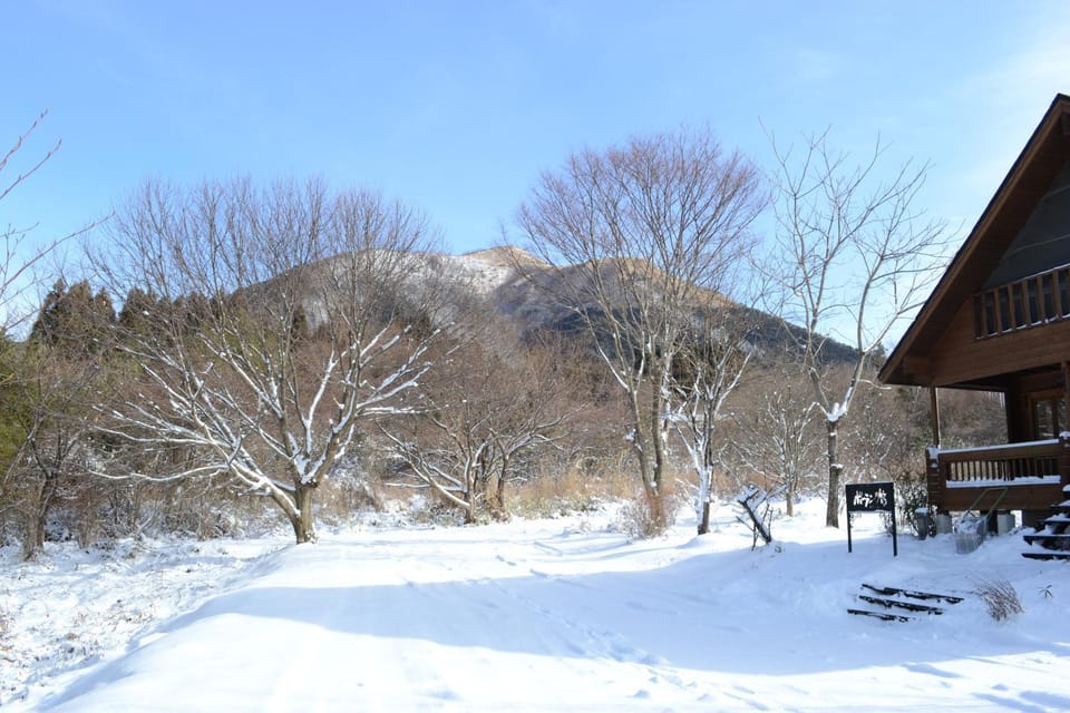 Facade/entrance, Skiing