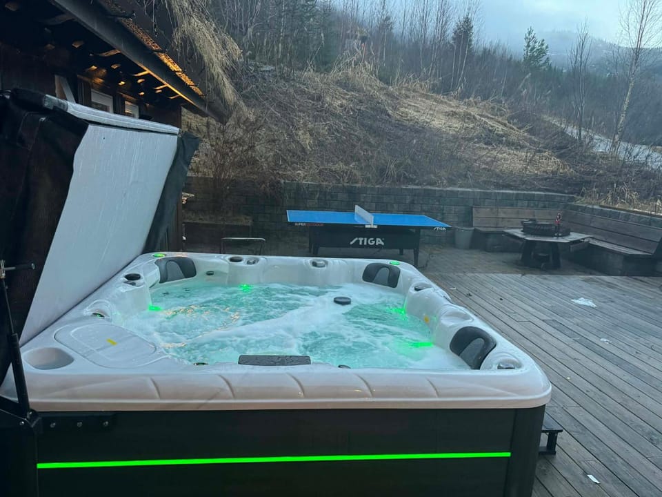 Winter, Hot Tub, Table tennis