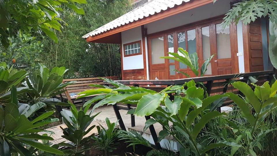 Property building, Day, Garden, Garden view
