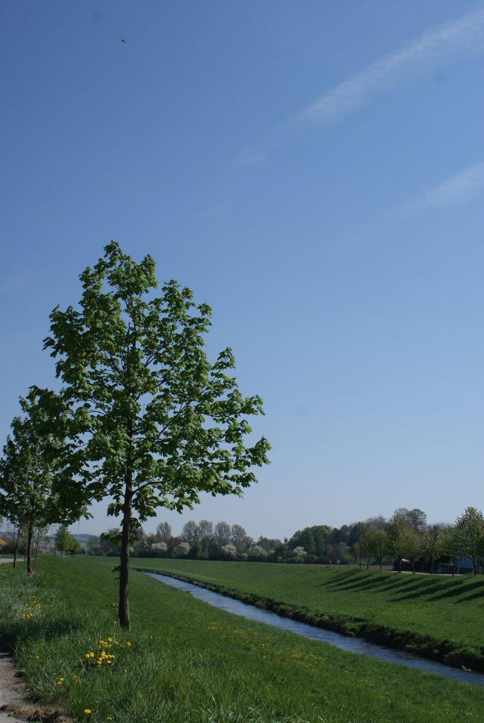 Natural landscape, Area and facilities