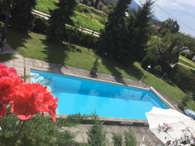 Pool view, Swimming pool