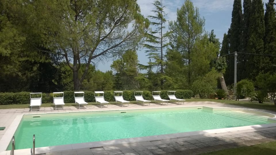 Swimming pool, Swimming pool