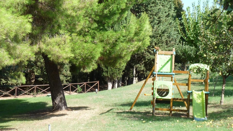 Children play ground