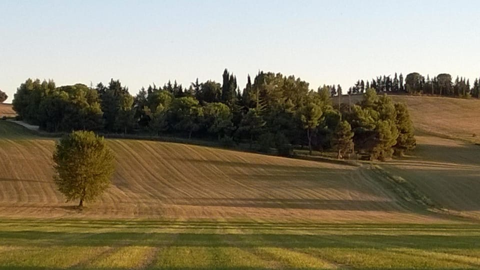 Natural landscape