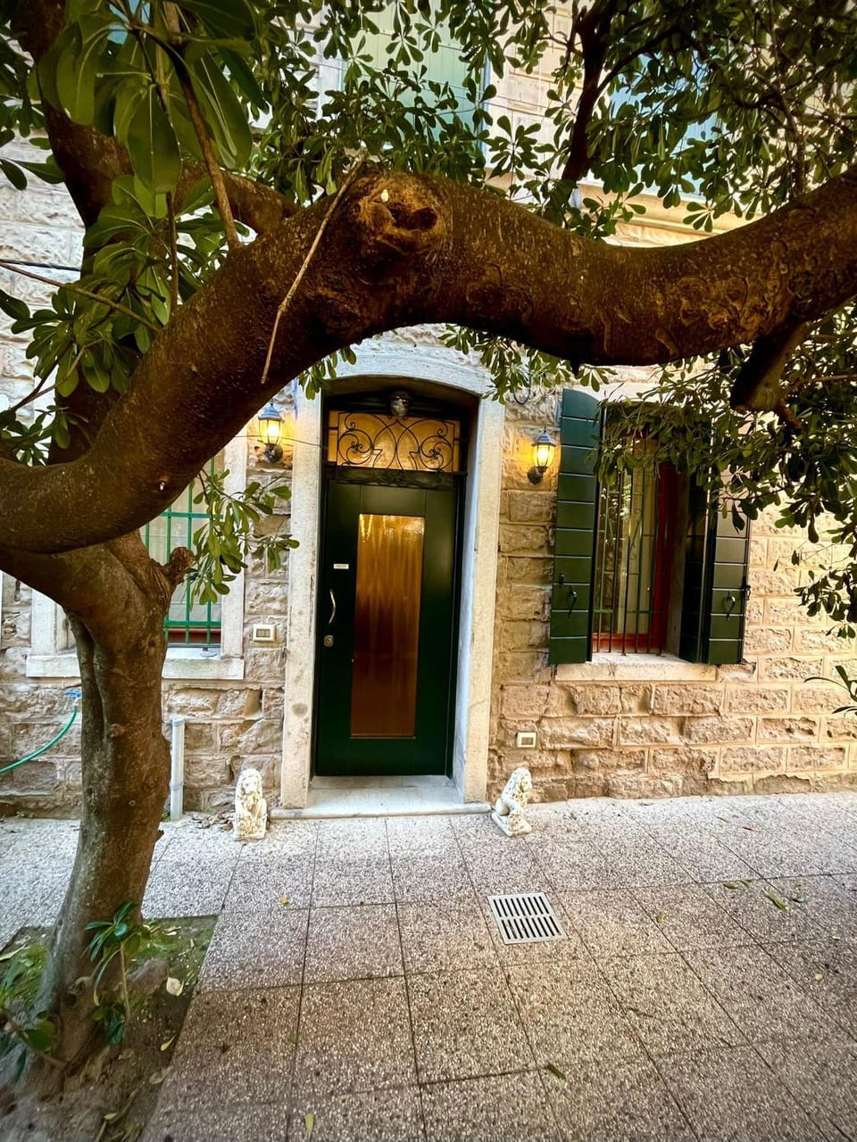 Property building, Garden, Garden view