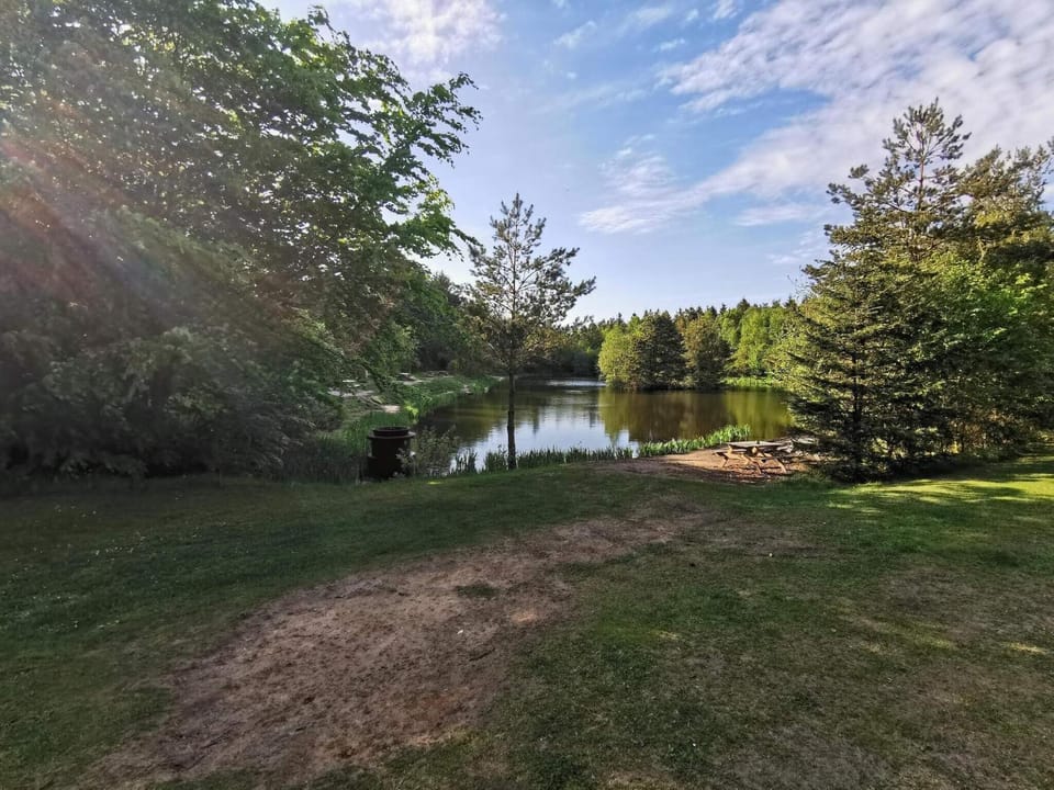 Lake view
