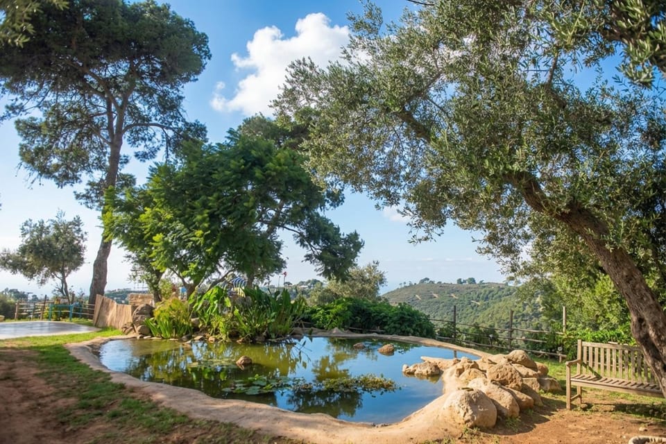 Nearby landmark, Spring, Day, Natural landscape, Garden, Garden view, Lake view, Pool view, River view, Swimming pool