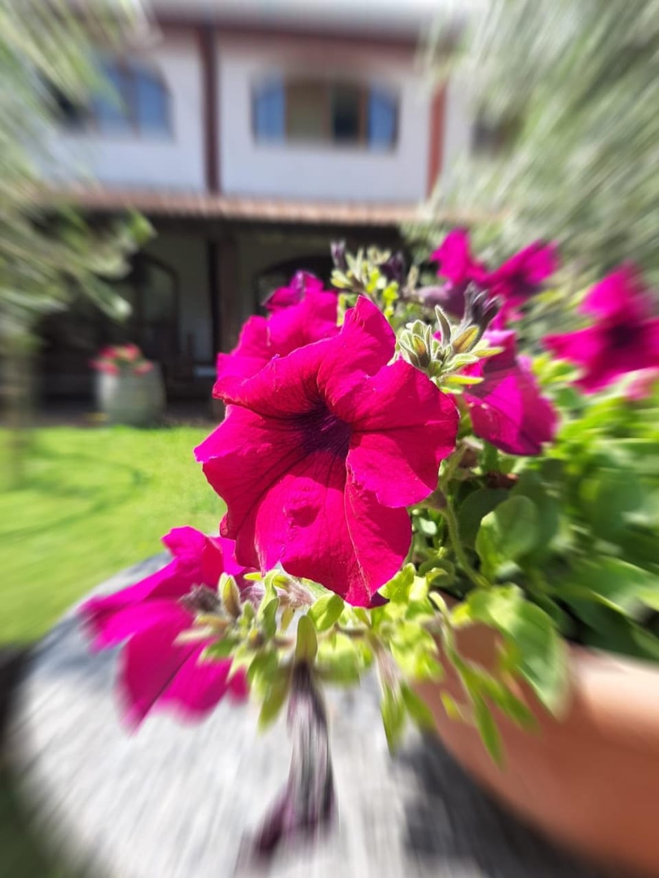 Agriturismo Mulino Bianco Farm Stay in Province of Brescia