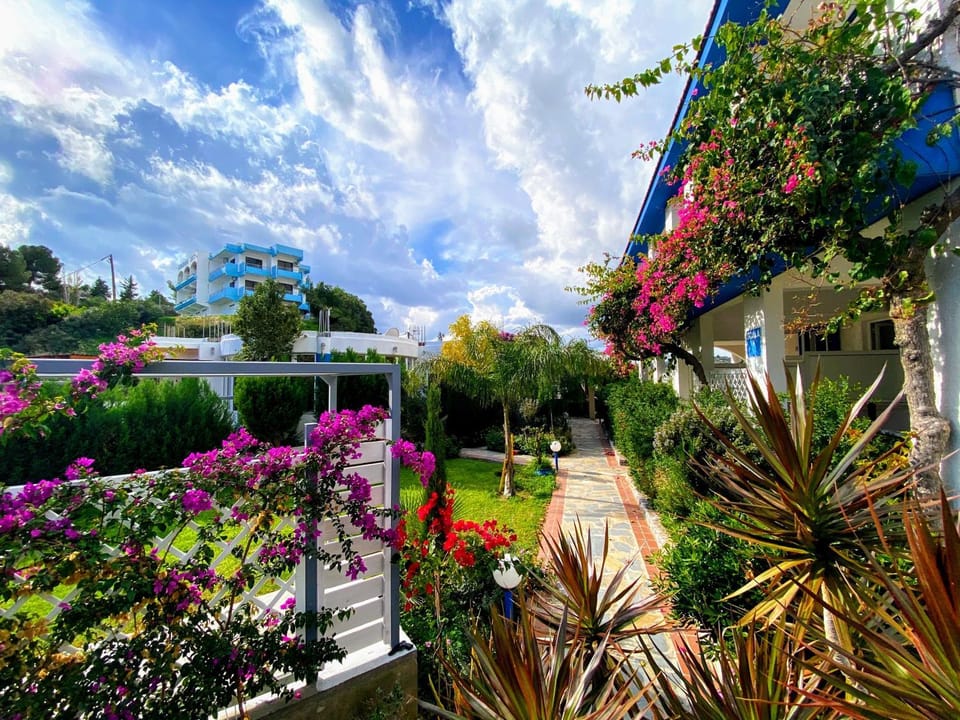 Patio, Garden