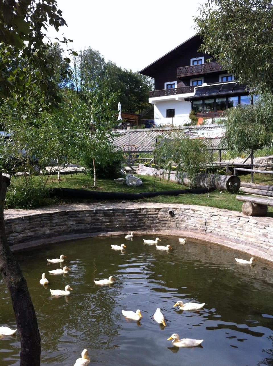 View (from property/room), Animals