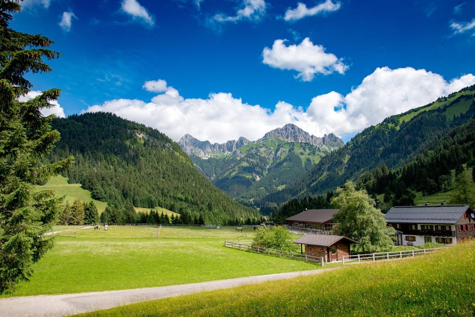 Natural landscape