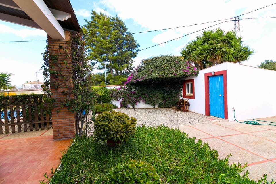 Garden view