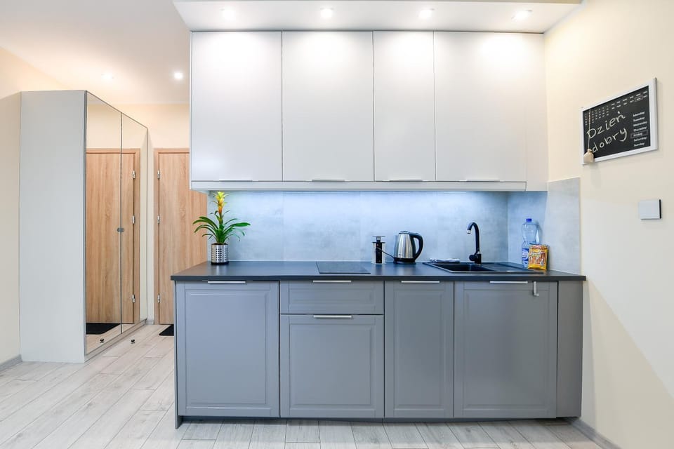 Kitchen or kitchenette, minibar, stove
