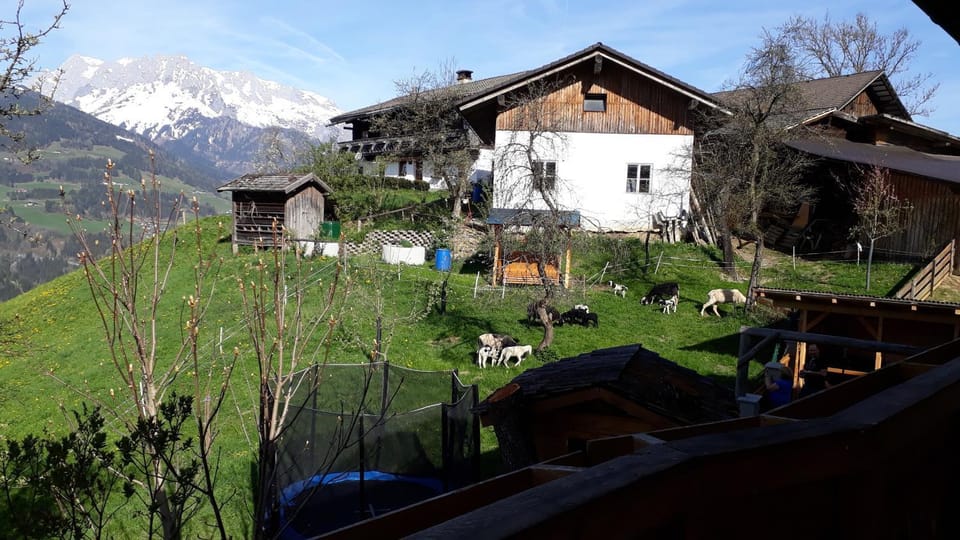 Property building, Neighbourhood