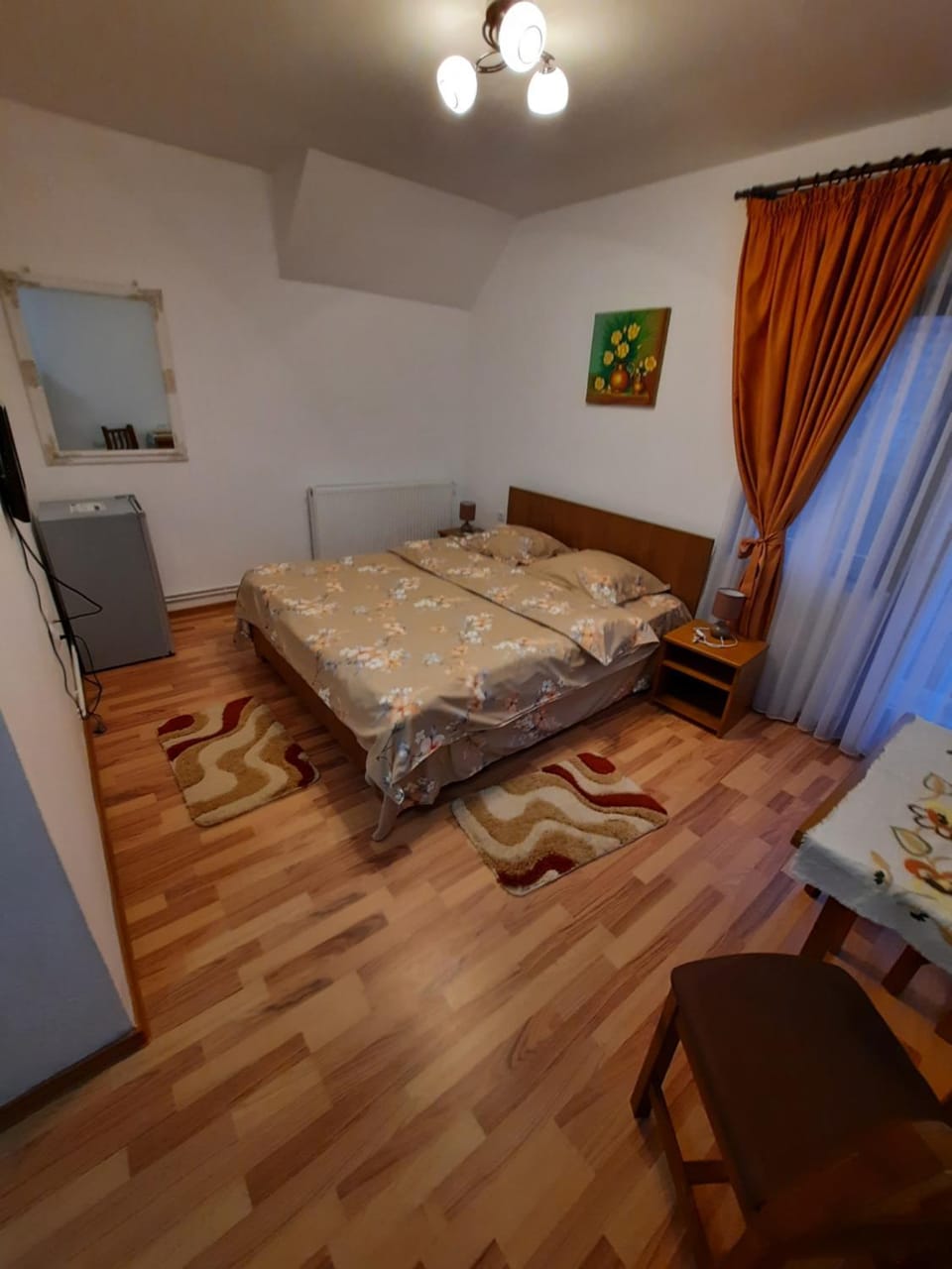 Pensiunea Maria-Elena Farm Stay in Romania