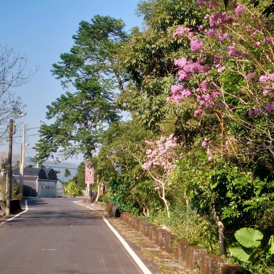 Jiji Village Villa B&B Vacation rental in Taiwan, Province of China