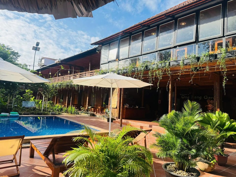 Day, Garden, Pool view