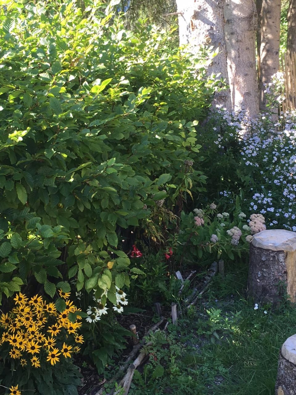 Off site, Natural landscape, Garden view