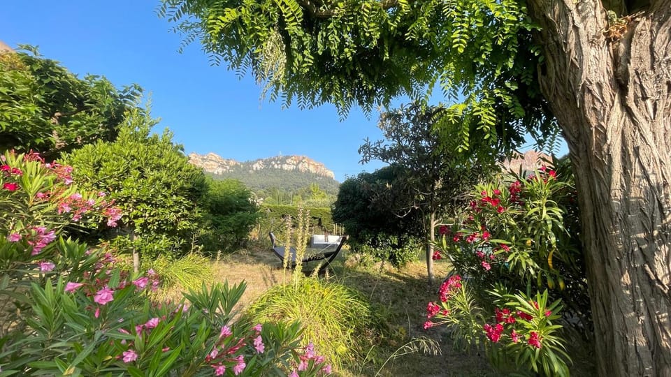 Garden, Mountain view