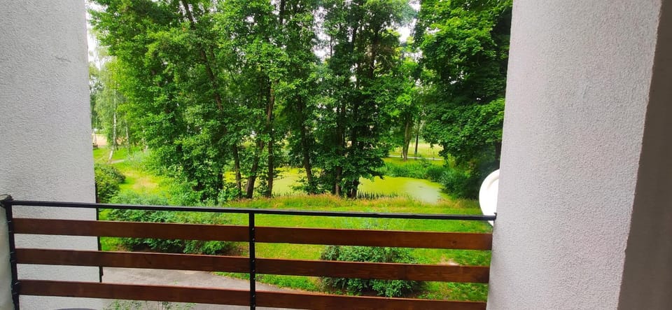 Natural landscape, View (from property/room), Balcony/Terrace