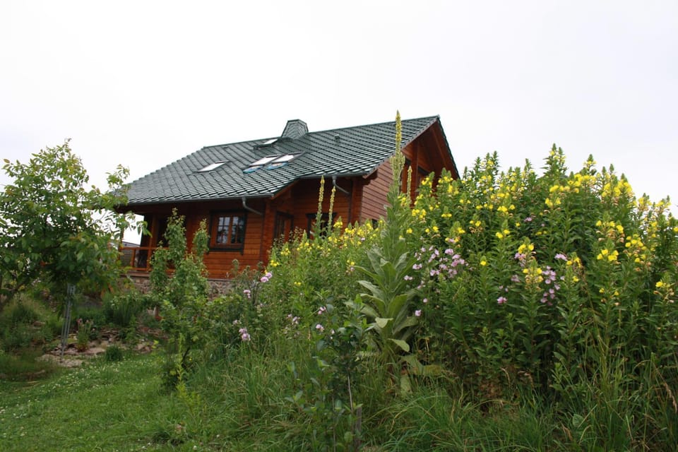 Property building, Day, Summer, Garden, Garden view