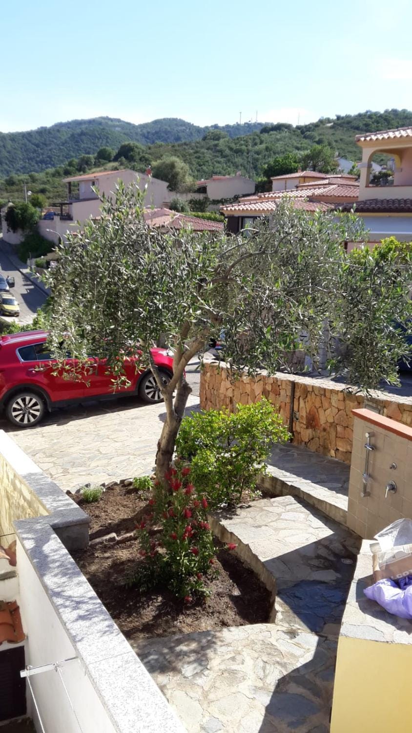Garden view