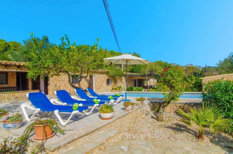 Garden, Swimming pool, sunbed