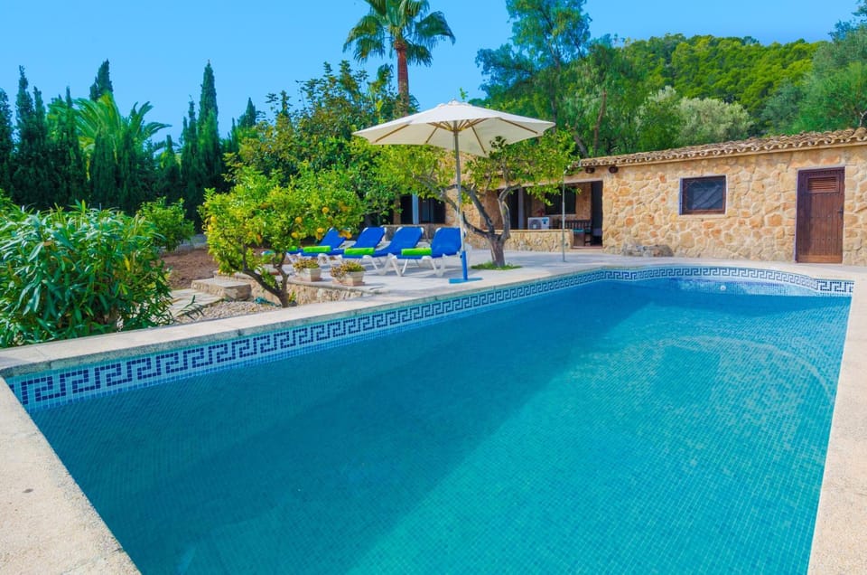 Swimming pool, sunbed
