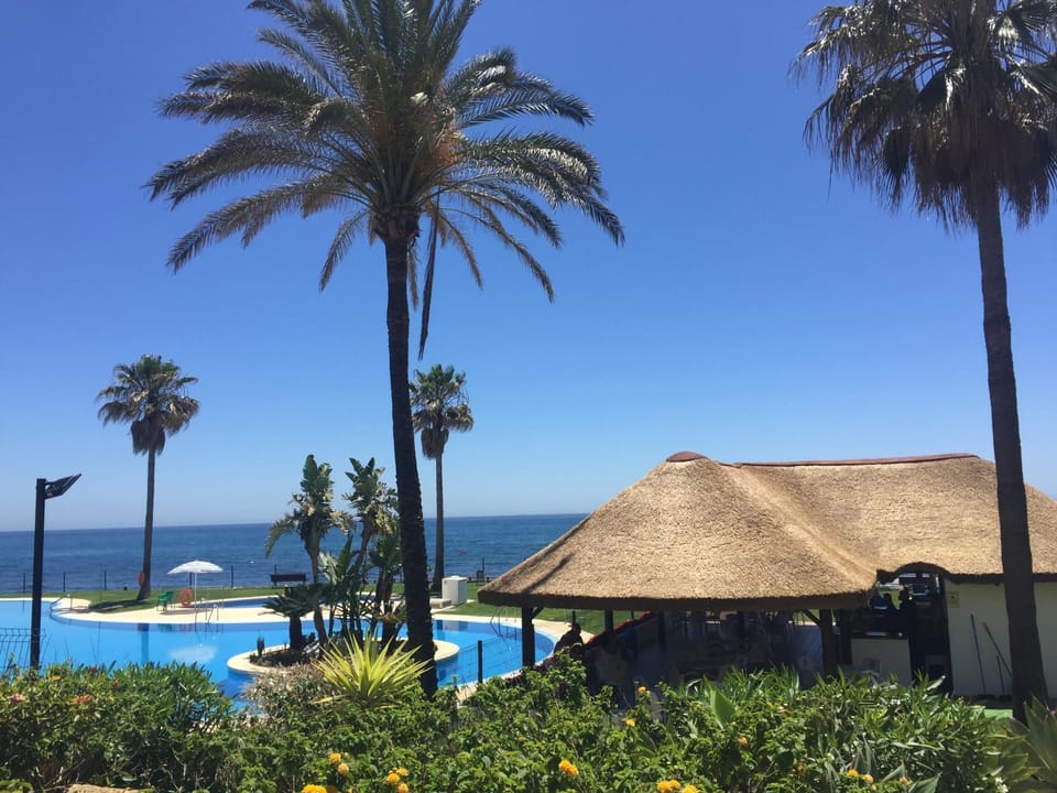 Lounge or bar, Swimming pool