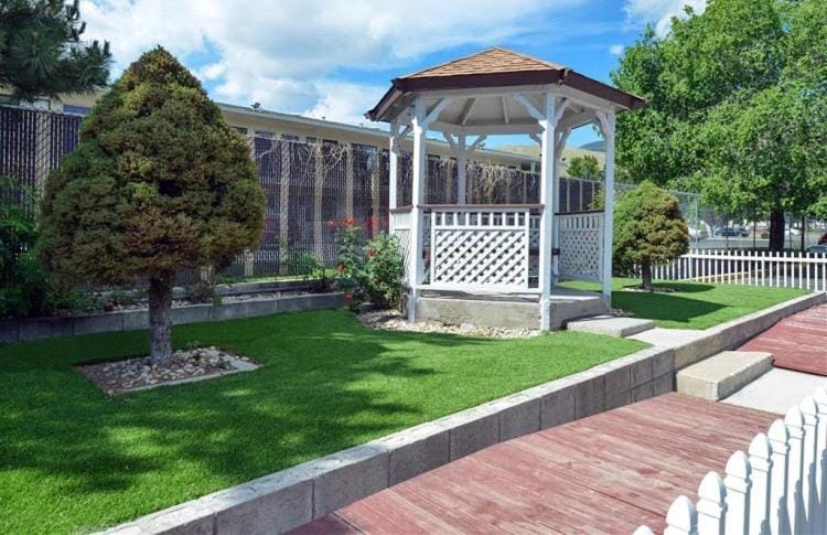 Patio, Garden