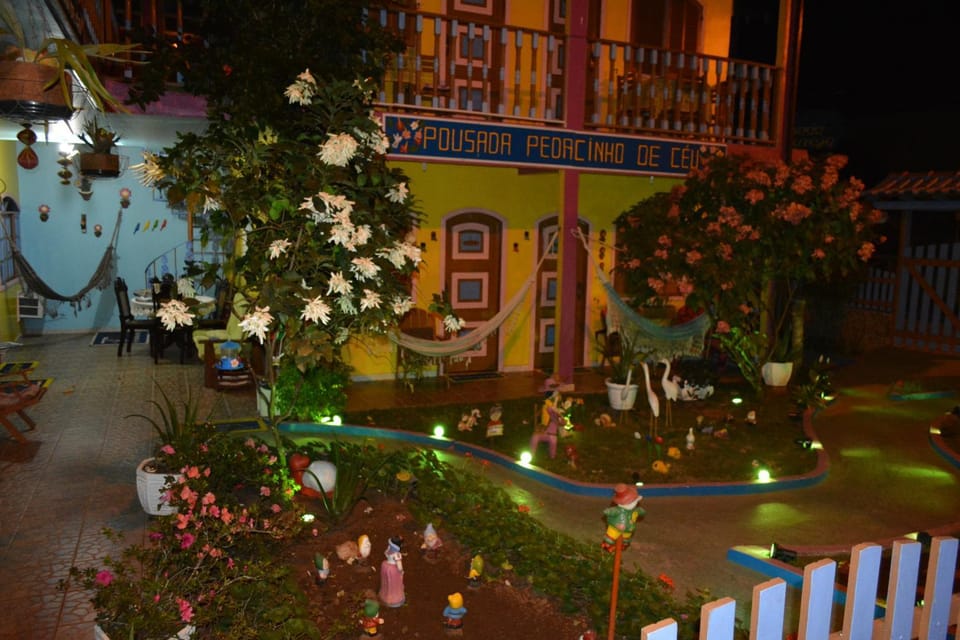 Night, Garden