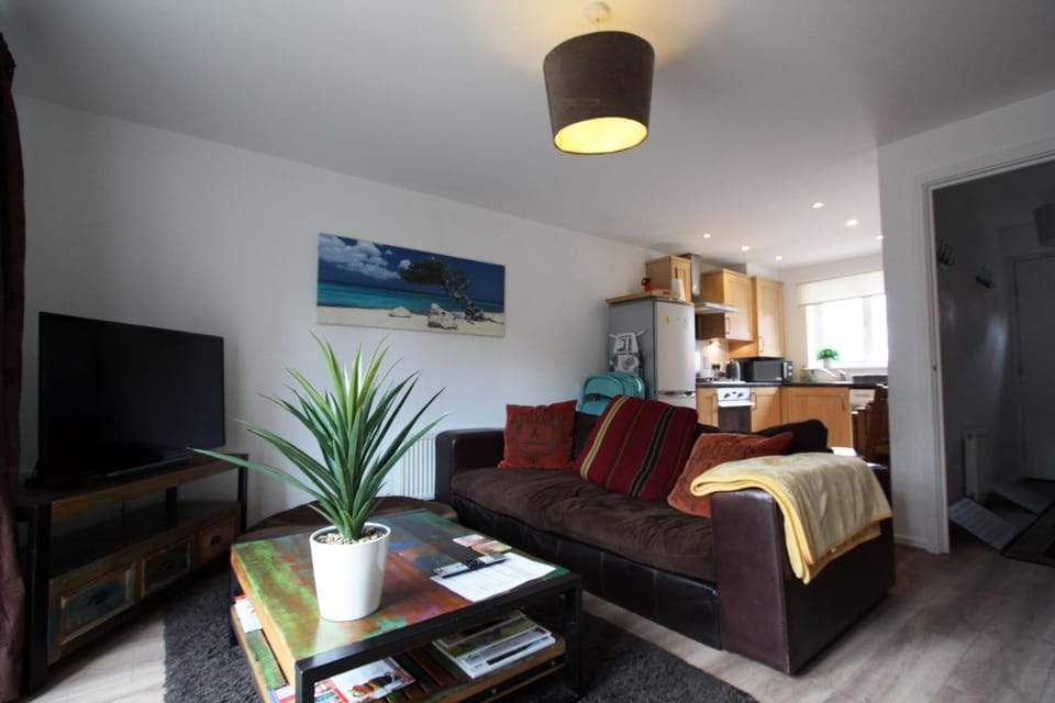 Living room, kitchen