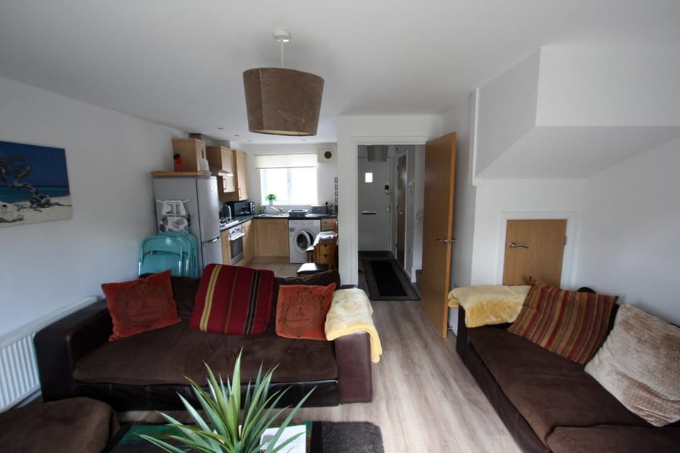 Living room, kitchen