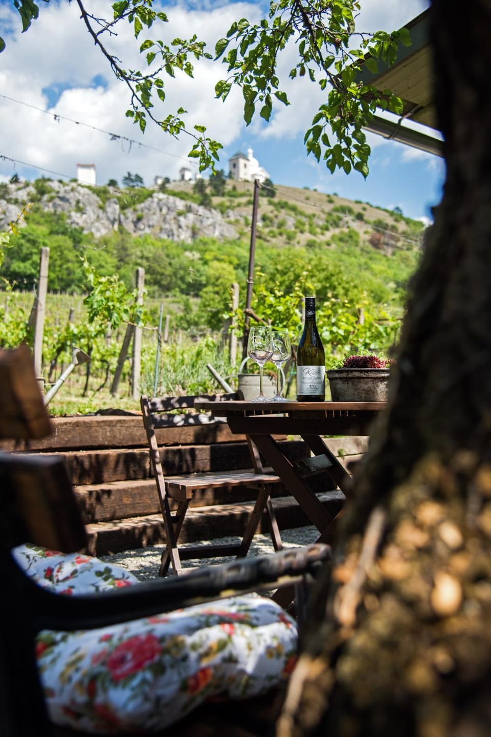 Patio, BBQ facilities, Drinks