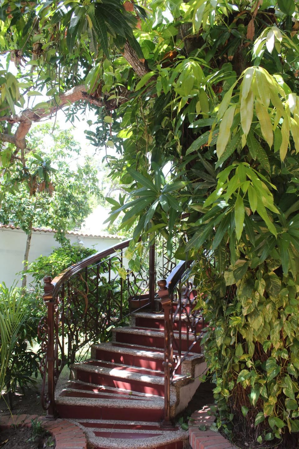 Patio, Garden