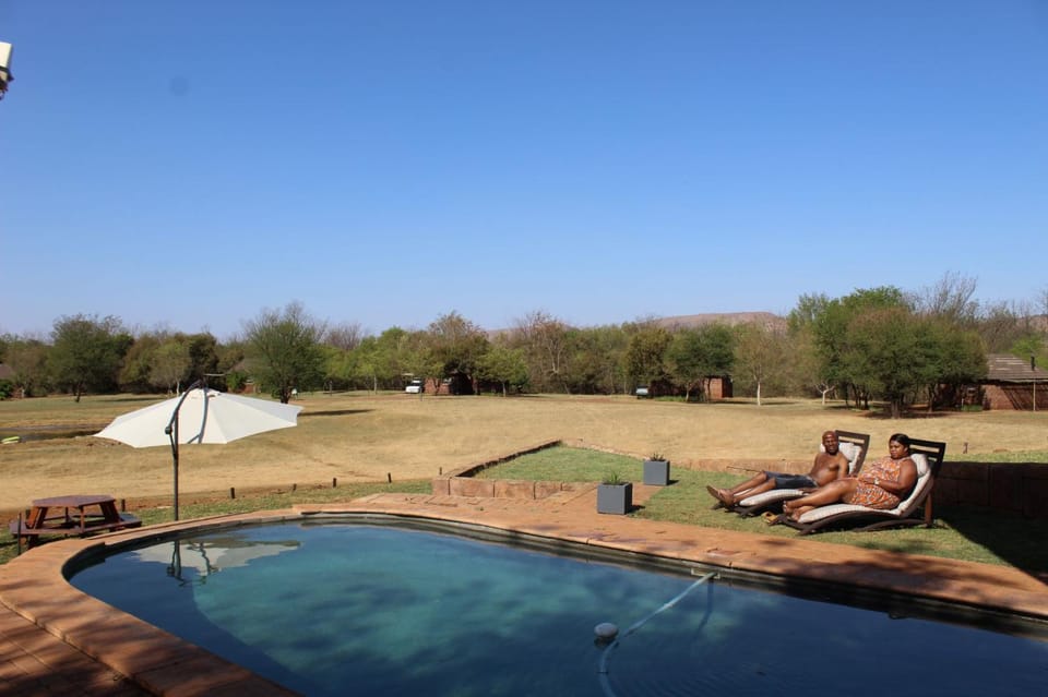 Garden, Pool view, Swimming pool
