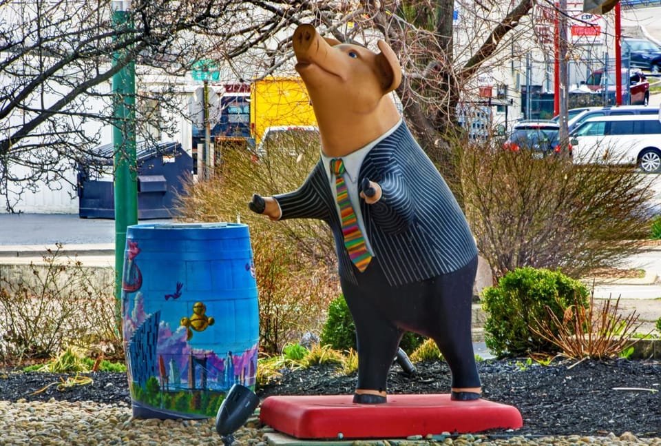 Staff, Area and facilities