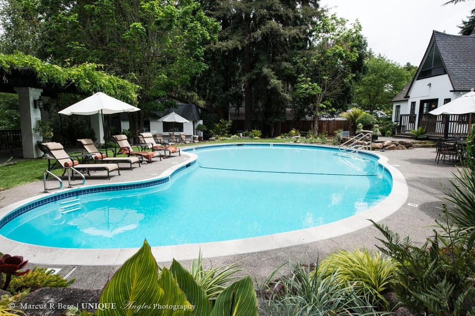 Swimming pool, Swimming pool