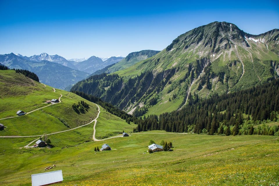 Mountain view