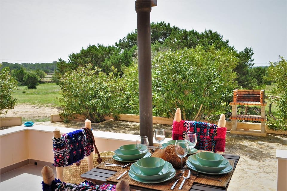 Patio, Day, Natural landscape, Garden, Garden view