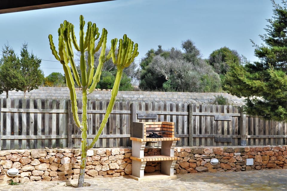 Spring, Day, Garden, Garden view
