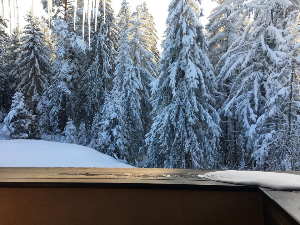 Natural landscape, Winter