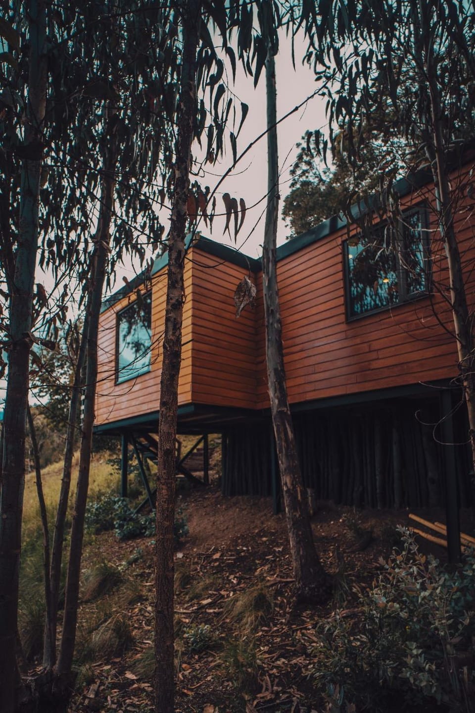 Property building, Day, Natural landscape, Garden