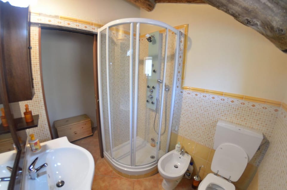 Shower, Toilet, Bathroom, bidet