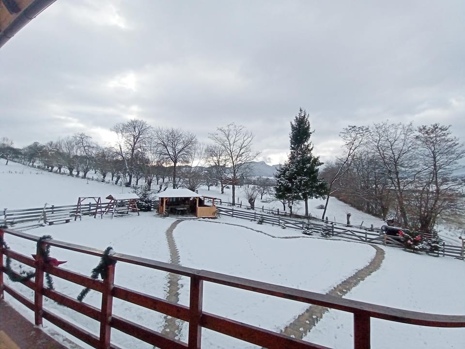 Day, Natural landscape, Winter