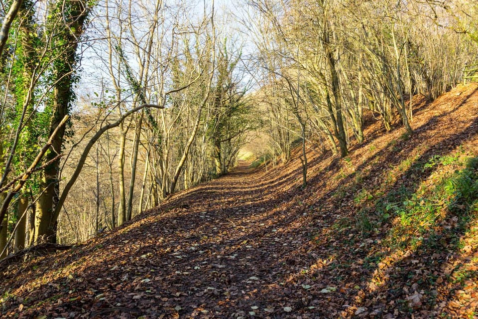 Natural landscape, Hiking